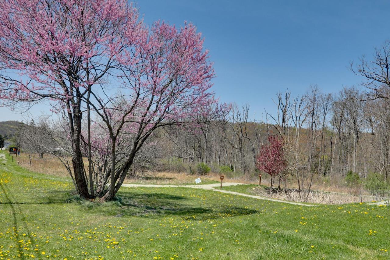 Pet-friendly Pennsylvania Vacation With Pool! Сasa de vacaciones Laughlintown